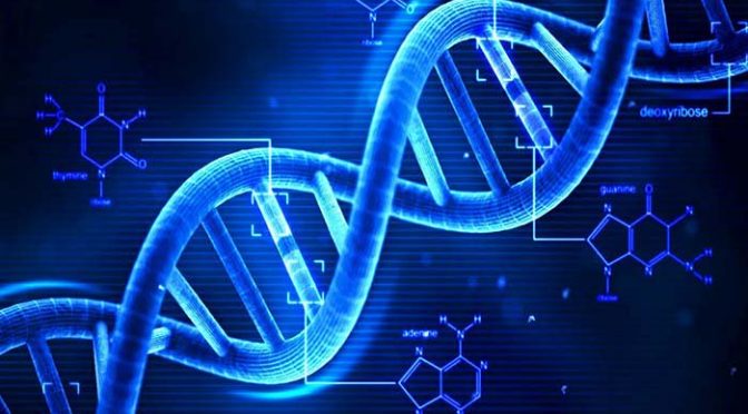 ڈی این اے کیا ہوتا ہے؟