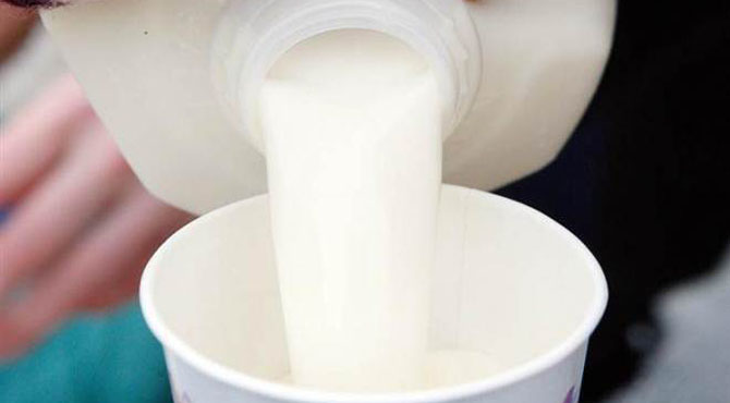 اونٹنی کا دودھ صحت کے لیے فائدہ مند یا نقصان دہ؟
