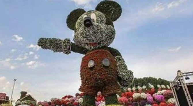 دبئی میں پھولوں سے دنیا کا سب سے بڑا مکی ماﺅس تیار