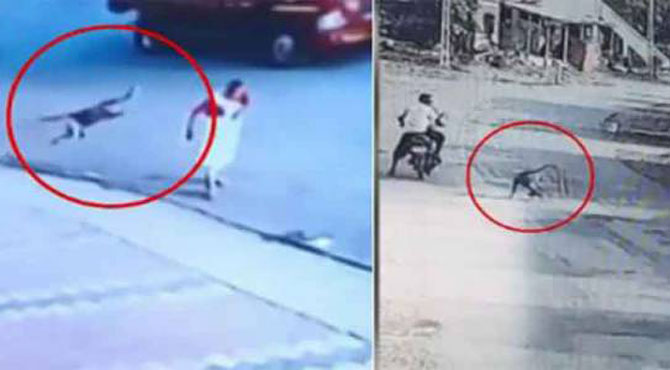 یہ بھارت ھے۔۔گاﺅں پر بندروں کا حملہ ۔۔مکین گھر بار چھوڑکر بھاگ گئے