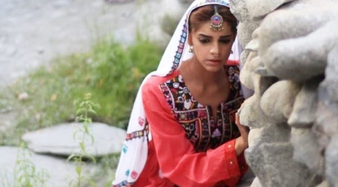 ‘دیدن‘ نئی نسل کو ڈرامے دیکھنے پرآمادہ کرنے میں کامیاب جائے گا؟