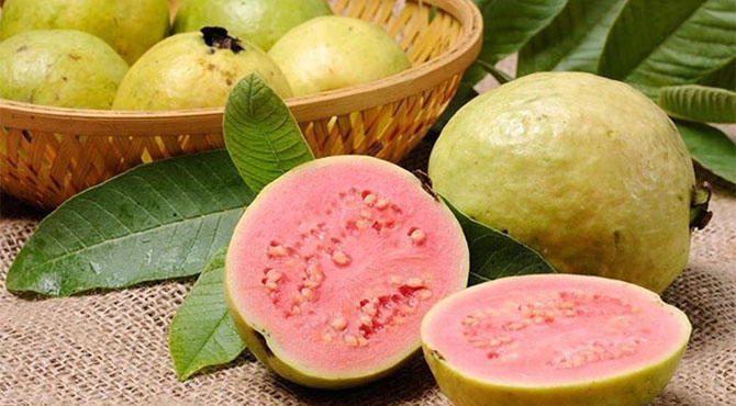 آیئے آج امرود کو جانتے ہیں