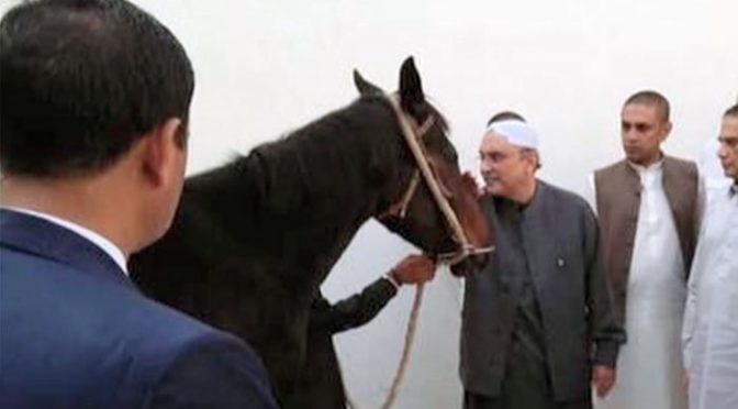 سابق صدر آصف علی زرداری کو اعلیٰ نسل کے گھوڑے کا تحفہ