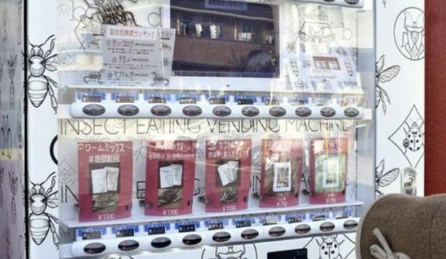 جاپان میں لذیذ کیڑے مکوڑے فراہم کرنے والی وینڈنگ مشین مقبول