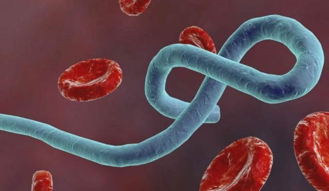 کانگو میں ایبولا کی وبا پھوٹنے سے سیکڑوں افراد ہلاک