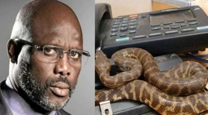 دفتر میں زہریلے سانپ آن دھمکے، افریقی صدر کو حکومت گھر سے چلانا پڑ رہی ہے