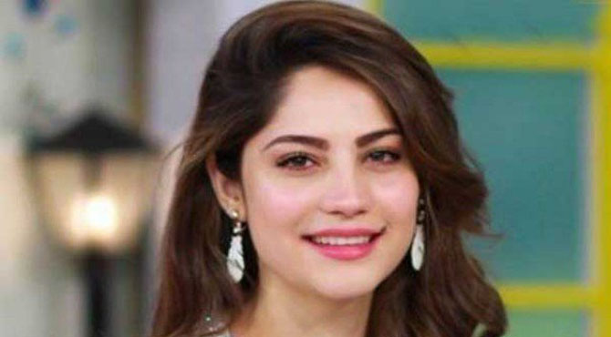 ٹی وی اداکاروں نے فلم انڈسٹری کو نئی زندگی دی ہے، نیلم منیر