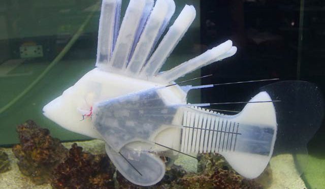 حیرت انگیز روبوٹک مچھلی جو ’برقی خون‘ سے آگے بڑھتی ہے
