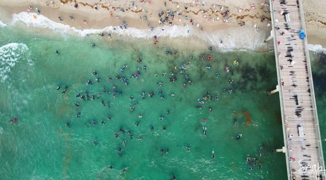 غوطہ خوروں نے سمندر سے کچرا نکالنے کا عالمی ریکارڈ بنادیا