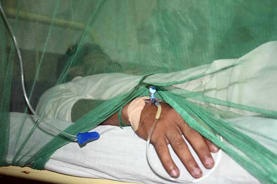 کراچی، اسلام آباد میں ڈینگی سے دو اور مریض جانبحق، ہلاکتوں میں آئے روز اضافہ