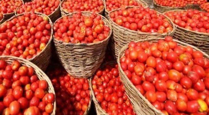 ایران سے آنے والے ٹماٹر بھی قیمتوں میں کمی نہ لاسکے