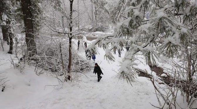 ملک کے شمالی علاقوں میں شدید سردی، اسکردو میں درجہ حرارت منفی 18 تک گر گیا