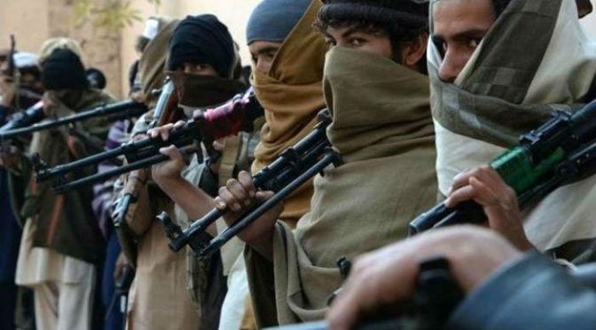طالبان کا افغان فورسز کیخلاف کارروائیاں دوبارہ شروع کرنے کا اعلان