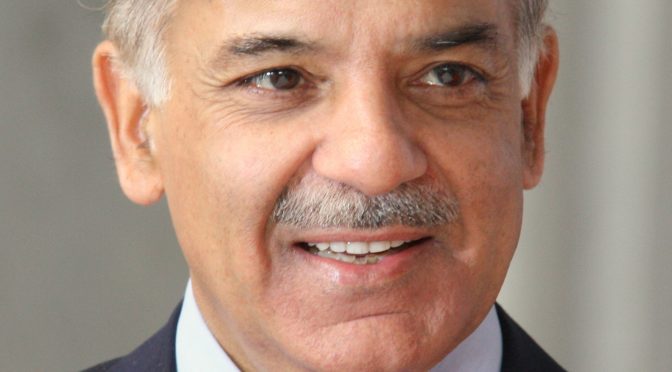 گندم چینی بحران رپورٹ وزیراعظم اور وزیراعلی پنجاب کے خلاف فرد جرم ہے،شہبازشریف