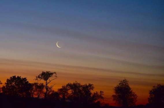 7 ممالک میں رمضان المبارک کے آغاز کا اعلان کر دیا گیا