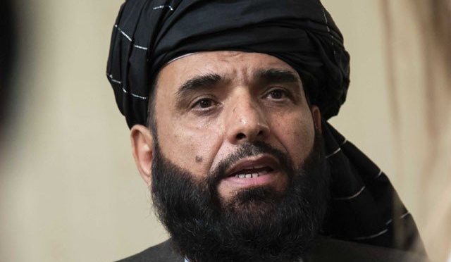 طالبان نے ماہ رمضان میں جنگ بندی کا مطالبہ مسترد کردیا