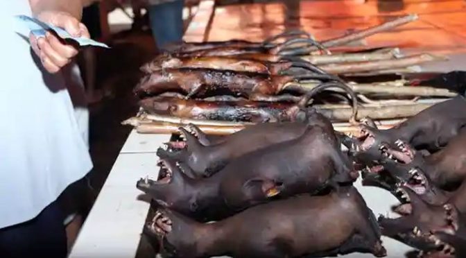 کورونا کے مرکز ووہان میں تمام جنگلی جانوروں کا گوشت کھانے پر پابندی عائد