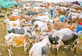کراچی: مویشی منڈی کے علاوہ کسی بھی جگہ منڈی لگانے پر پابندی عائد