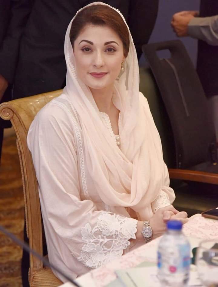 مریم نواز کو پارٹی کی وائس چیئر پرسن بنانے کا فیصلہ