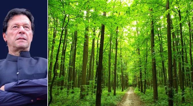 وزیر اعظم نے دنیا کے سب سے بڑے میاواکی جنگل کا افتتاح کردیا