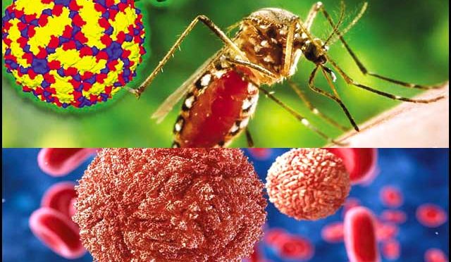 محکمہ صحت سندھ نے نپاہ وائرس کے ممکنہ پھیلاؤپرالرٹ جاری کردیا  وائرس کی علامات بخار، سرو جسم درد اور سنگین صورتوں میں کوما شامل