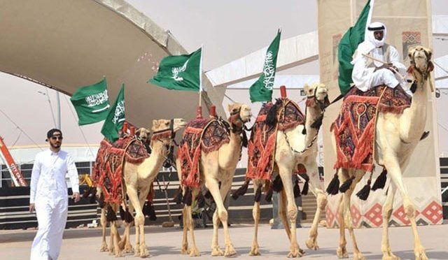 سعودی عرب میں اونٹنیوں کے مقابلۂ حسن کا آغاز