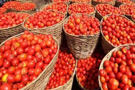 کوئٹہ: گوشت، آٹا، کوکنگ آئل اور دودھ کے بعد ٹماٹر کی قمیت میں بھی اضافہ