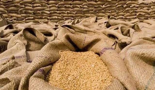 پنجاب؛ گندم کی امدادی قیمت خرید 2200 روپے من کی سفارش پر وفاقی معاشی ٹیم کو تحفظات