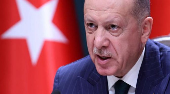 ترک صدر کی توہین قابل سزا، گرفتاریاں شروع