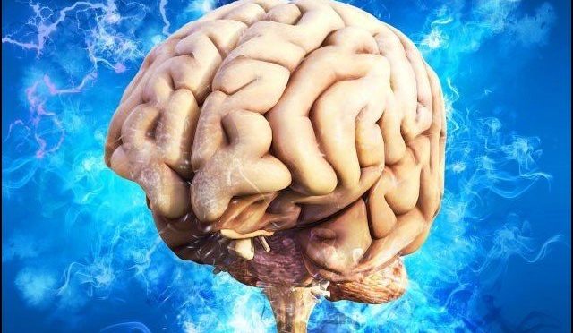 موٹاپے سے دماغ بھی جلدی بوڑھا ہوجاتا ہے، تحقیق