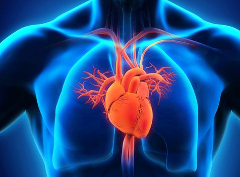 مصنوعی ذہانت نے ڈاکٹروں کی نظروں سے اوجھل قلبی امراض دریافت کرلیے