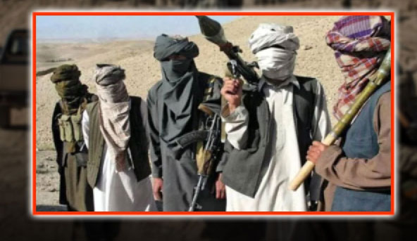 افغانستان : TTPکے اہم کمانڈر مارے جانے سے تنظیم میں کھلبلی مچ گئی۔ رپورٹ: ڈاکٹر اختر گلفام