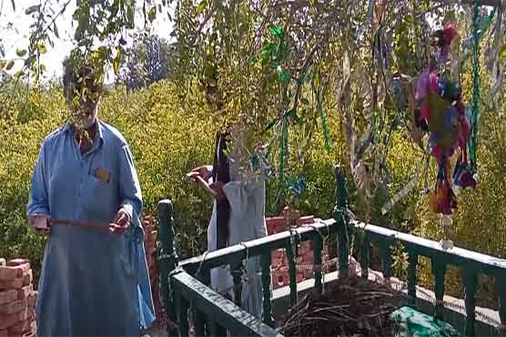 سندھ کی درگاہ جہاں کلہاڑے کے نذرانے دیئے جاتے ہیں