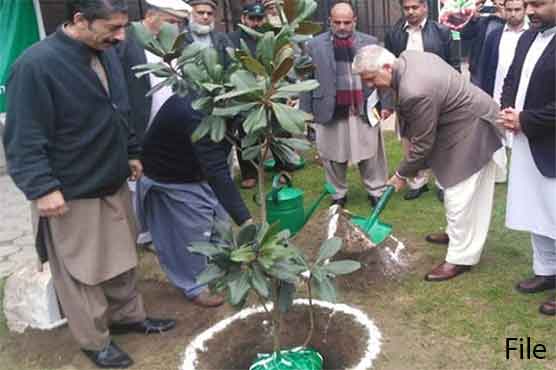 خیبرپختونخوا میں شجرکاری مہم شروع، وزیراعلیٰ محمود خان نے پودا لگا کر افتتاح کیا