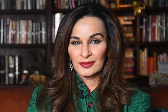 ‘غیر ملکی فنڈنگ کیس کی سماعت سے ایک دن پہلے احتجاج کا مقصد ادارے پر دباؤ ڈالنا ہے’