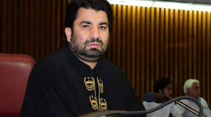محب وطن پاکستانی ہوں، آئین کے مطابق رولنگ دی، قاسم سوری