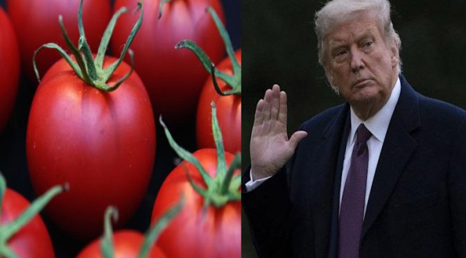 ٹرمپ کو انناس، ٹماٹر اور کیلوں سے جان کا خطرہ