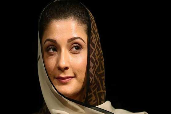 ‘غنڈہ گرد اور سڑک چھاپ پی ٹی آئی کا جڑ سے خاتمہ ہر پاکستانی کا اولین فرض’