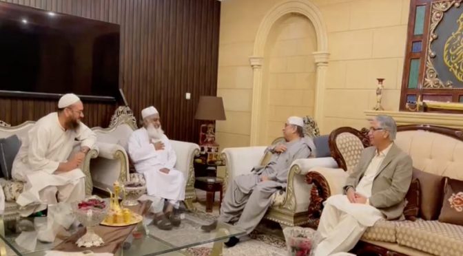 آصف زرداری اور فضل الرحمان کے درمیان ملاقات: کابینہ کی تشکیل پر اہم مشاورت