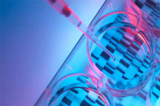 سائنس دان مکمل انسانی جینوم سیکوئنس تیار کرنے میں کامیاب
