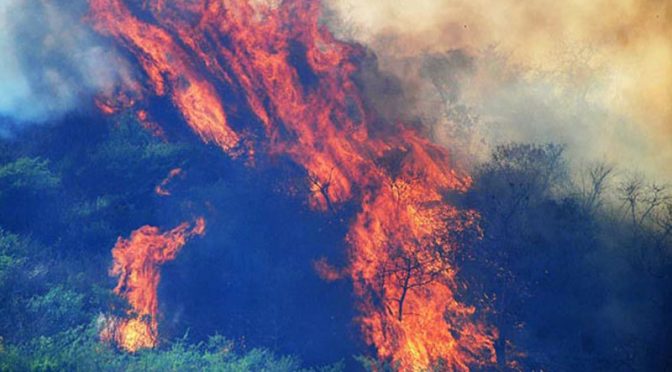 مارگلہ کی پہاڑیوں پر آگ تیزی سے پھیلنے لگی سی ڈی اے کا عملہ آلات سے لیس ،آگ بجھانے میں مصروف