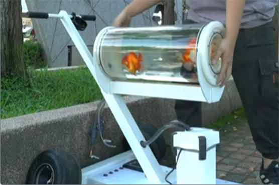 تائیوان میں مچھلیوں کو سیر کرانے کے لیے موبائل ٹینک تیار