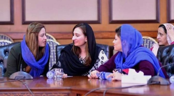 لانگ مارچ:رپورٹ میں صرف زرتاج گل اور ملیکہ بخاری کی تعریف، پی ٹی آئی خواتین ارکان بھڑک اٹھیں