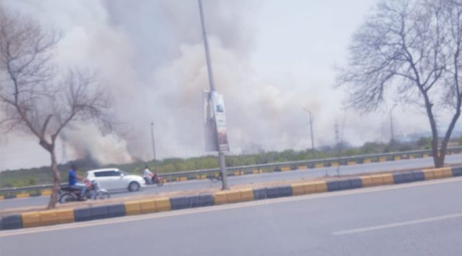 اسلام آباد کے سیکٹر ایچ 12 کے جنگل میں آتشزدگی، وزیراعظم کا نوٹس