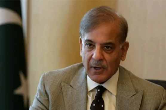وزیراعظم سے امریکی بزنس کونسل کے وفد کی ملاقات، مسائل جلد حل کرانے کی یقین دہانی
