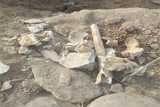 کراچی کے قدیمی قبرستان سے انسانی ڈھانچوں کی چوریوں کا انکشاف