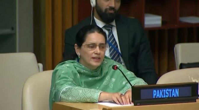 دو سو ملین سے زائد مسلمان، عیسائی، سکھ اور دیگر اقلیتوں کو ہندوستان میں امتیازی سلوک کا سامنا ہے: صائمہ سلیم