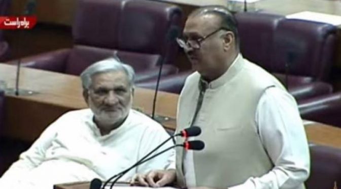 امپورٹڈ اشیا پرپابندی لگائی، اسمگلنگ نہیں روکی، قرضوں کے چنگل سے نکلنا ہو گا: راجہ ریاض