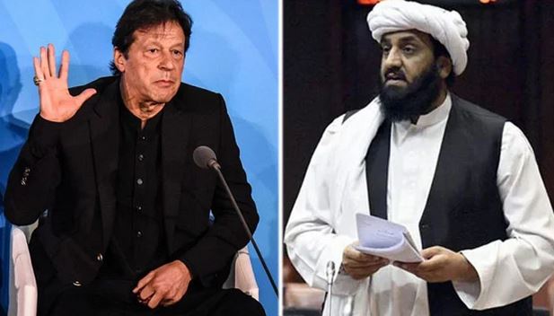بُش کی کامیابی پر نفل پڑھنے والا نیازی امریکا دشمنی کا بھاشن جھاڑ رہا ہے: حافظ حمداللہ
