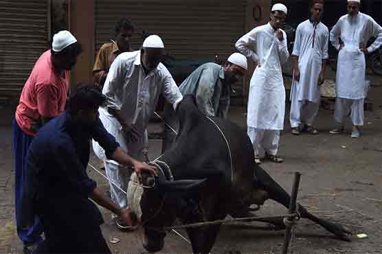 عید کے دوسرے روز بھی قربانی جاری، خواتین لذیذ پکوانوں کی تیاری میں مصروف